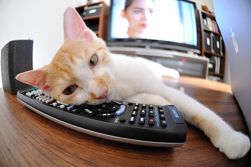 奥运周期关键战之夜,詹姆斯关键节点连续得分,诠释何为历史级掌控力