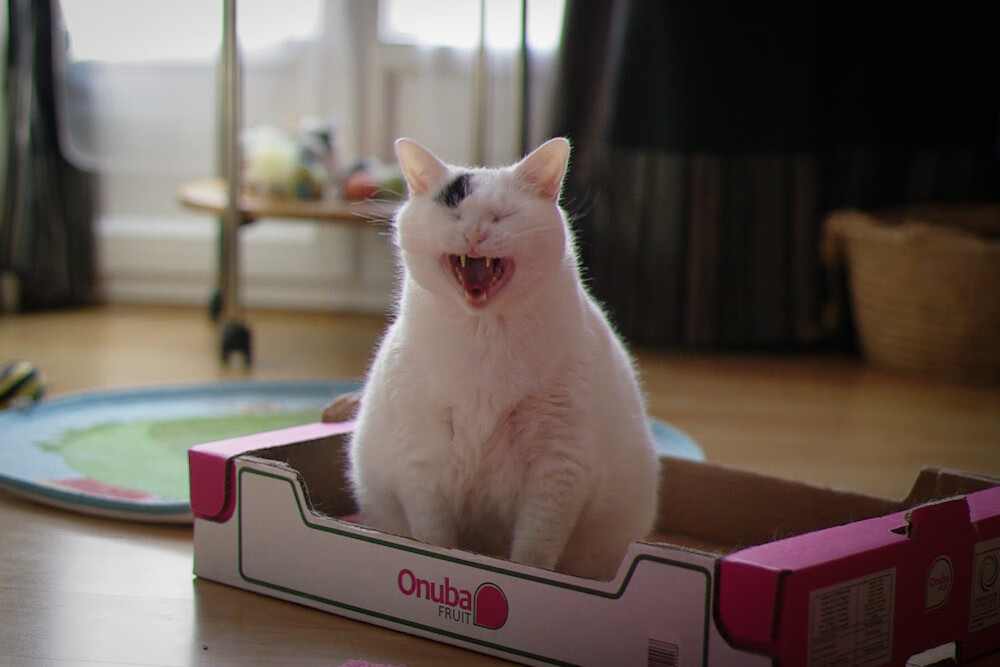 浓眉独木难支?76人绝境逆袭,生死战力克广东诠释团队真谛